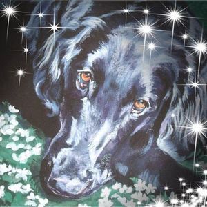 Meet your Posher, Lora